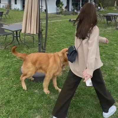 春